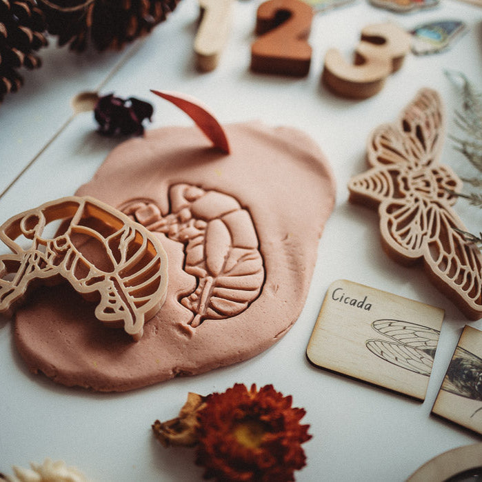 Cicada and Shell Playdough Cutter Set