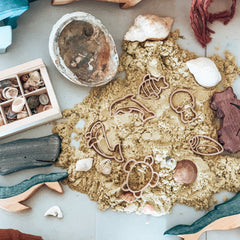 Mini Under the Sea Eco Cutters