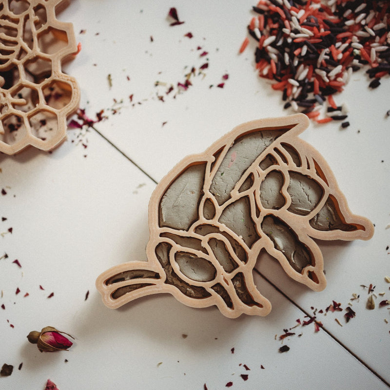 Teddy Bear Bee & Honeycomb Eco Cutter Set