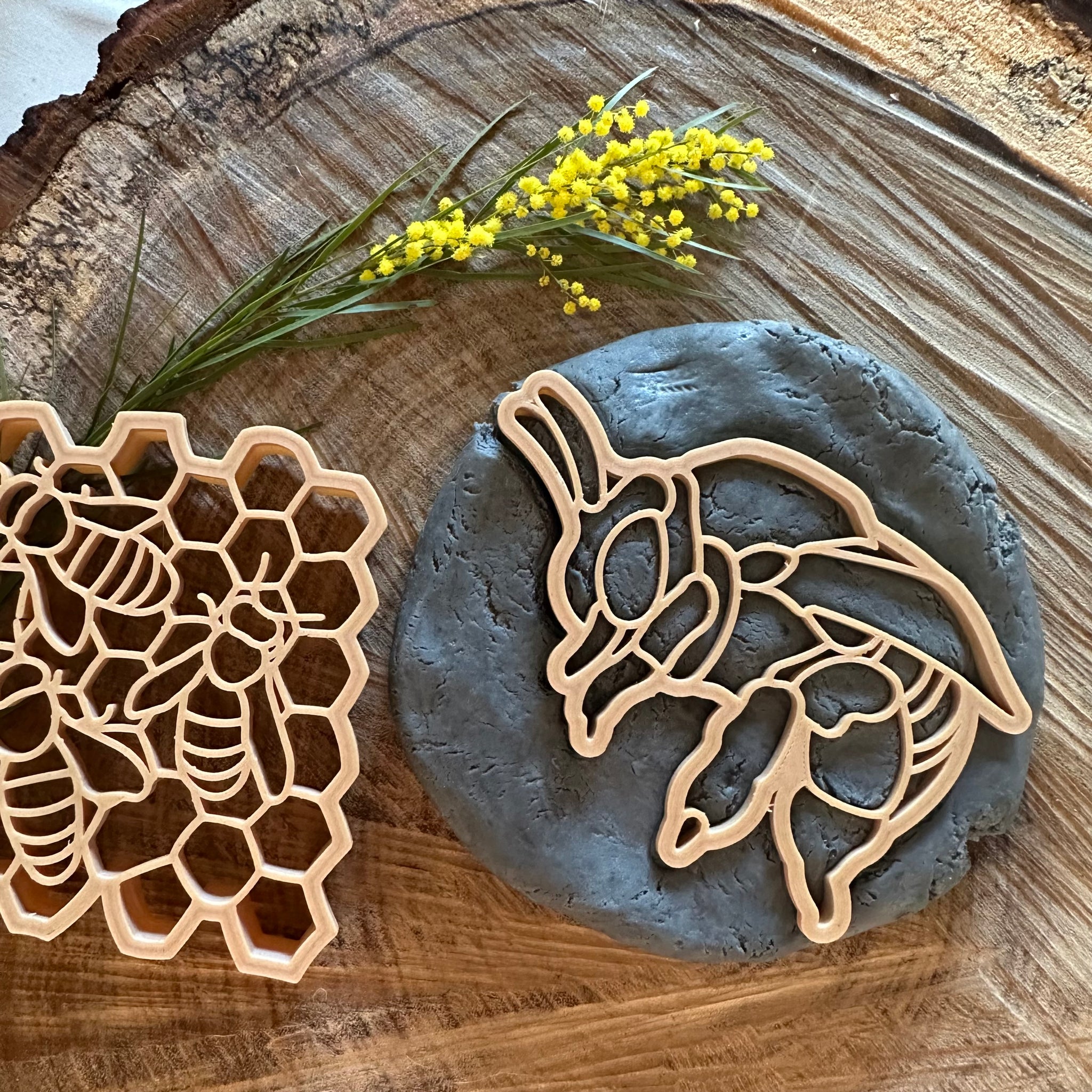 Teddy Bear Bee & Honeycomb Eco Cutter Set
