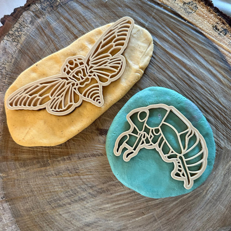 Cicada and Shell Playdough Cutter Set