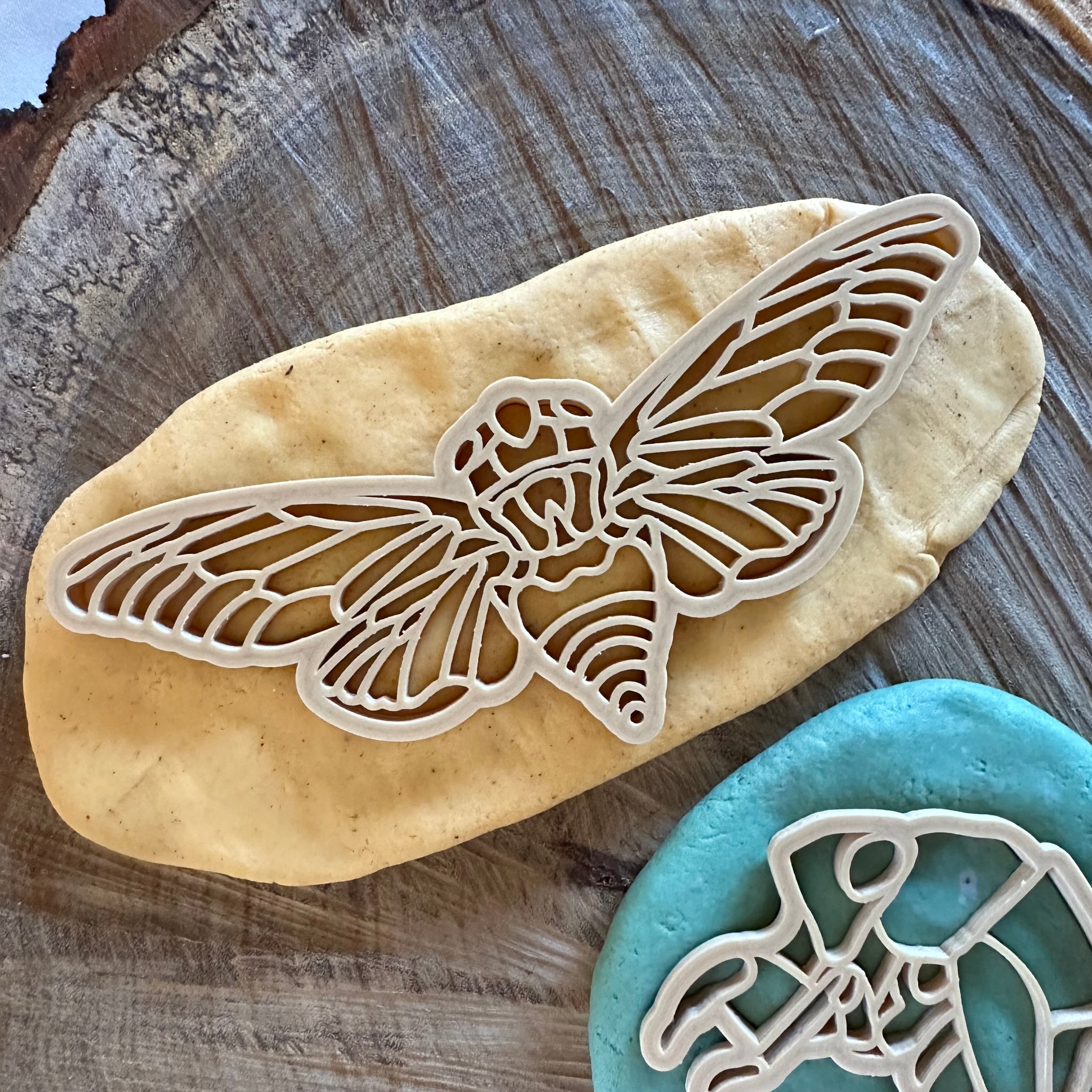 Cicada and Shell Playdough Cutter Set