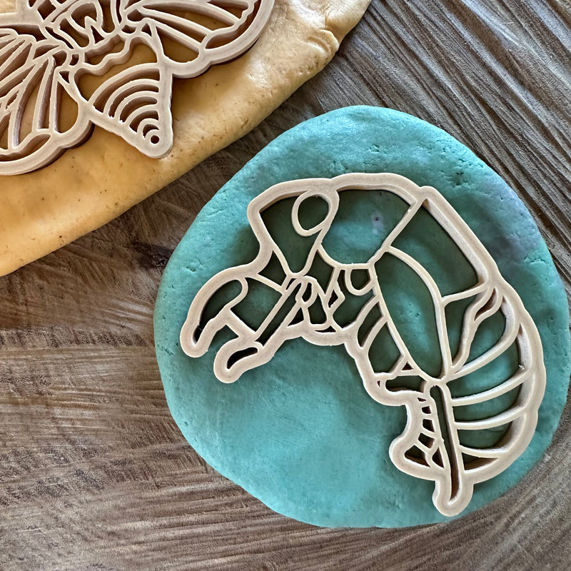 Cicada and Shell Playdough Cutter Set