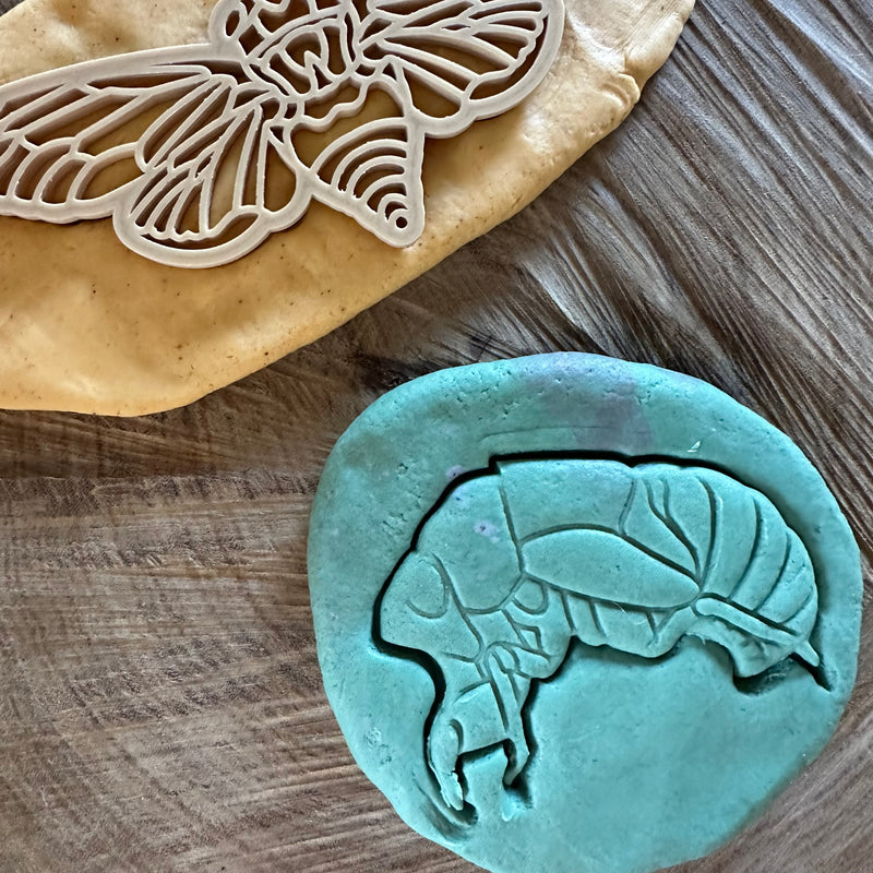 Cicada and Shell Playdough Cutter Set