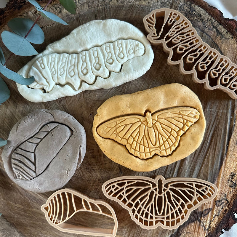 Monarch Butterfly Lifecycle Eco Cutter Set