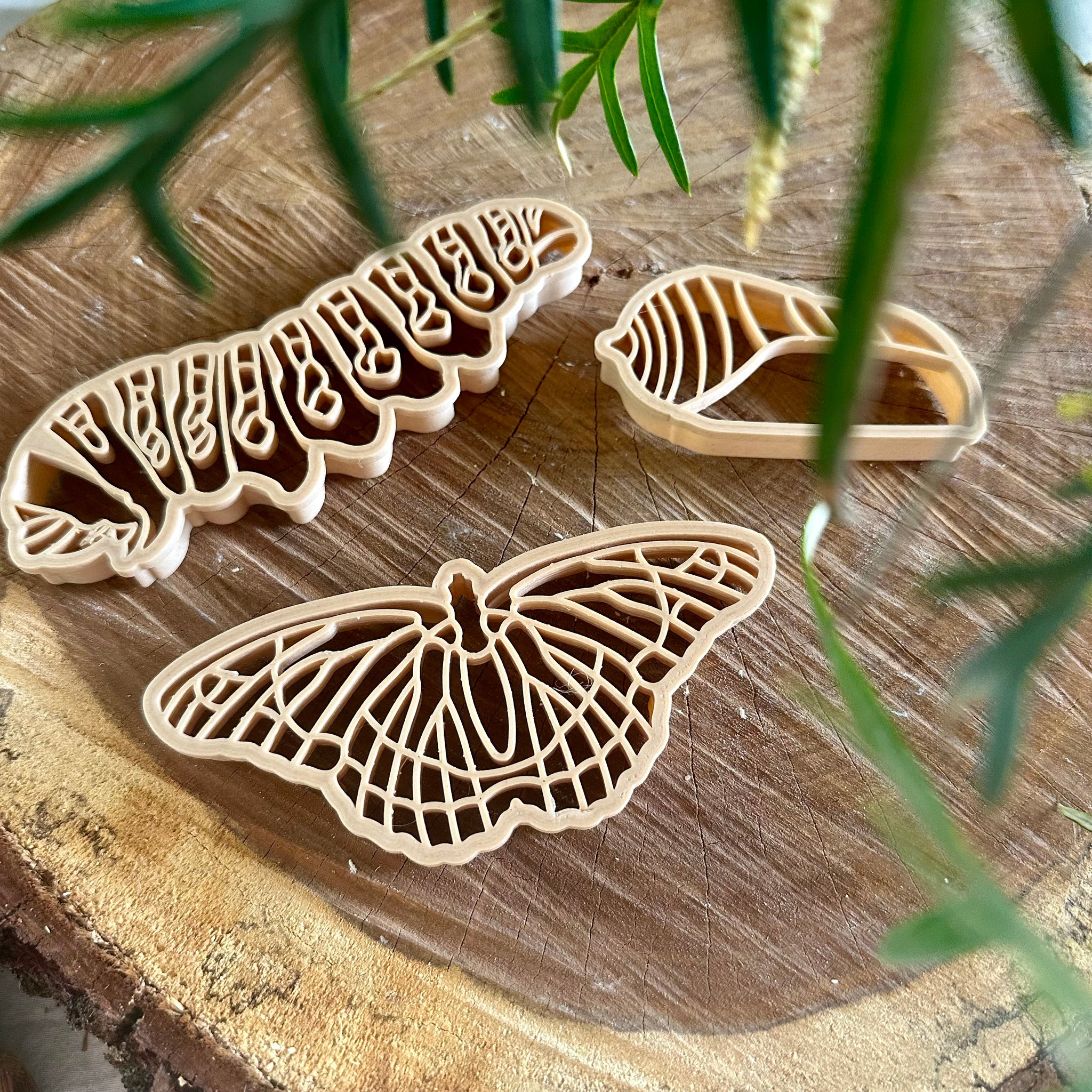 Monarch Butterfly Lifecycle Eco Cutter Set