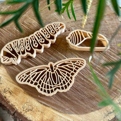 Monarch Butterfly Lifecycle Eco Cutter Set