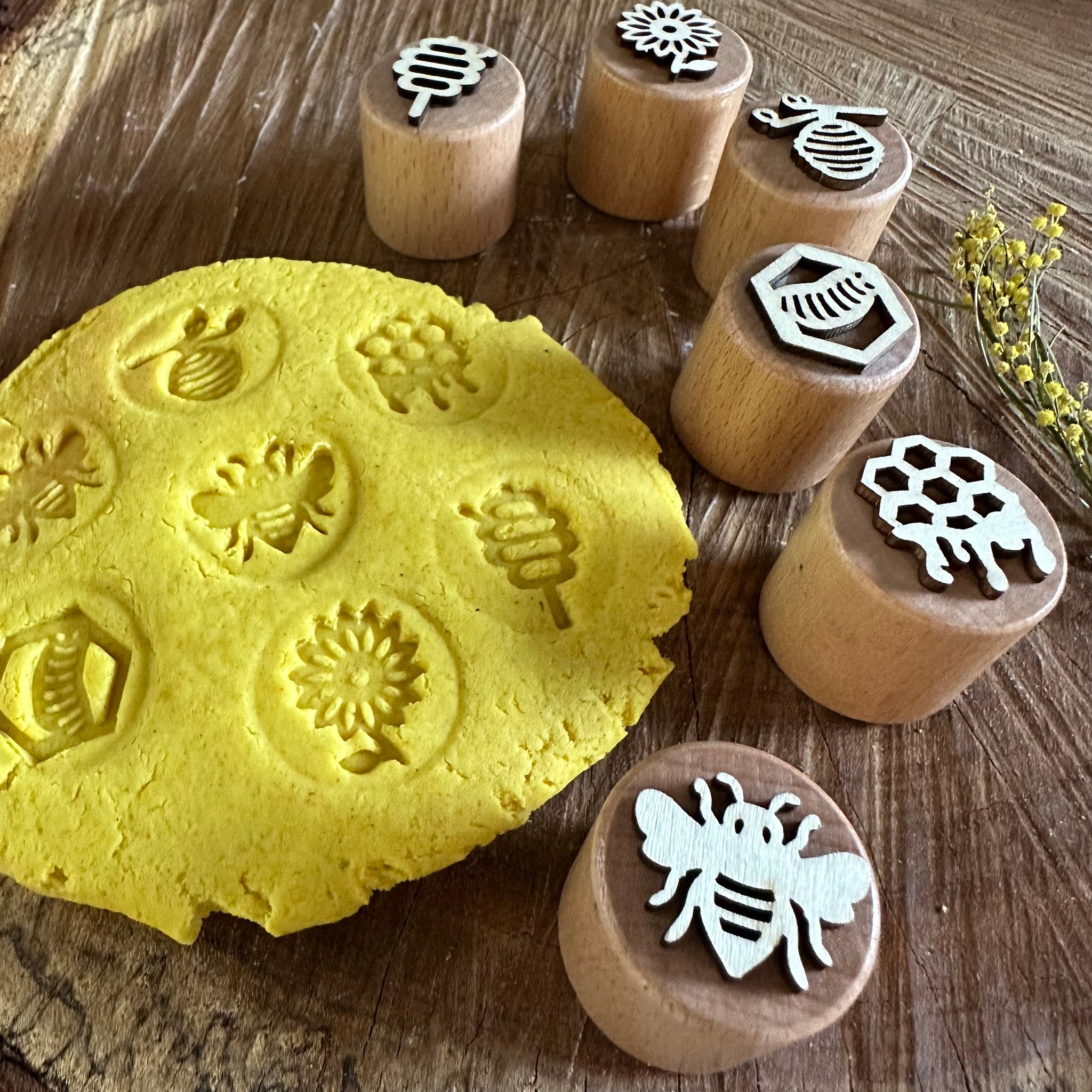 Bee Life Cycle Stamp Set (6)