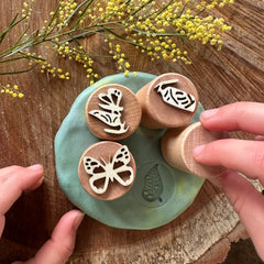 Butterfly Life Cycle Stamp Set