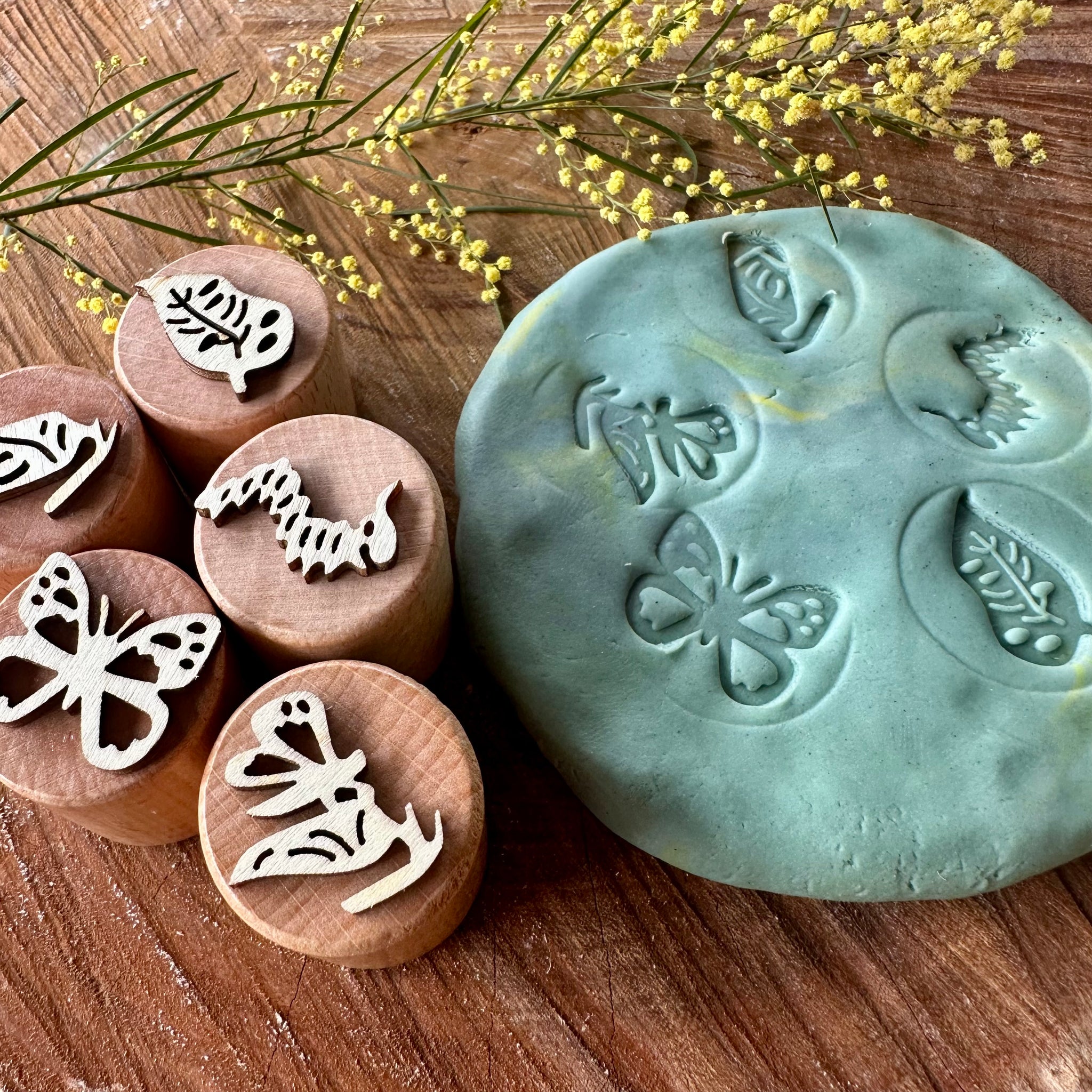 Butterfly Life Cycle Stamp Set