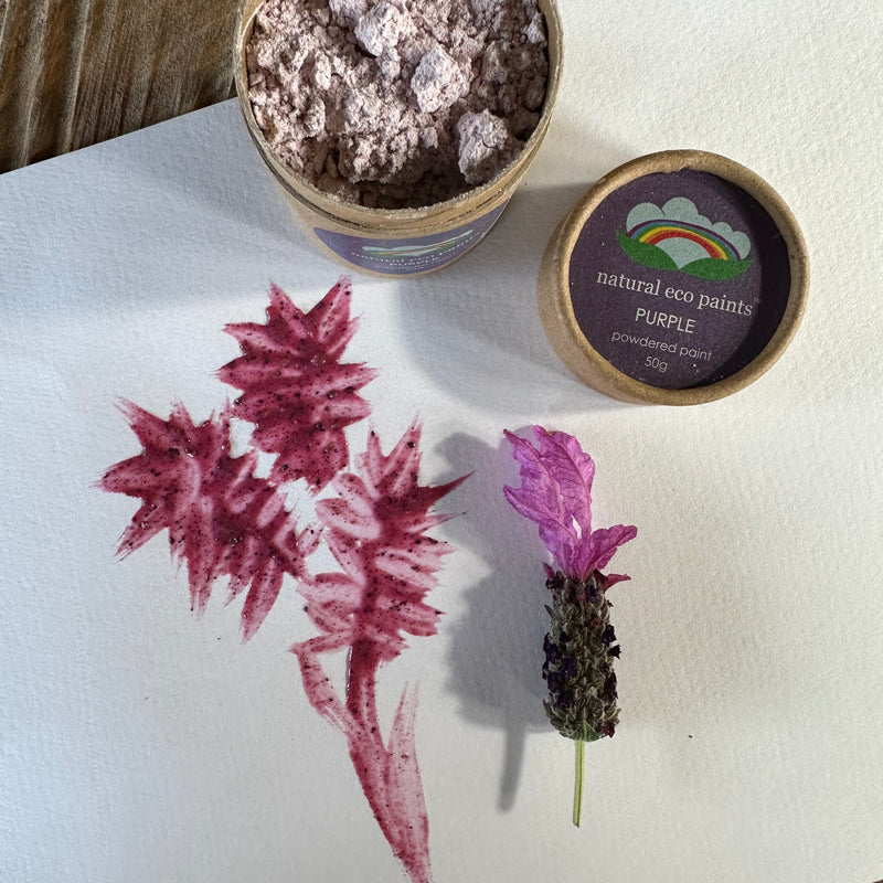Purple Eco Paint - Bulk 500g