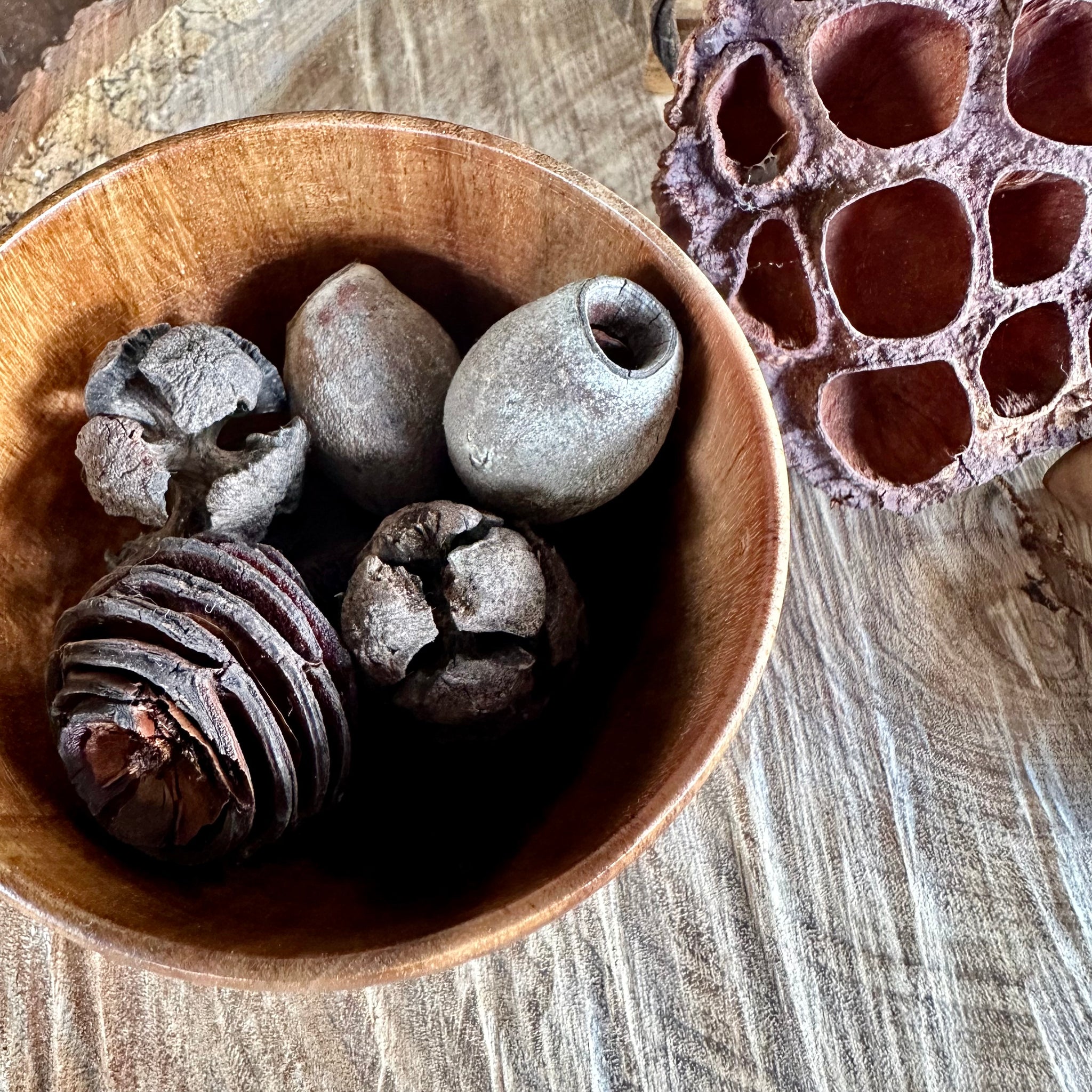 Woodland Treasure Bowl