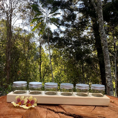 Wooden Paint Holder Set (Includes 6 Jars)